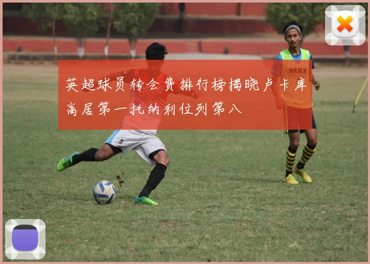 英超球员转会费排行榜揭晓卢卡库高居第一托纳利位列第八